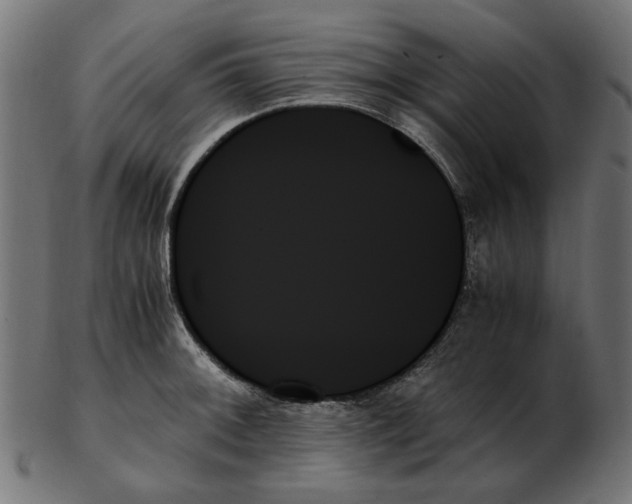 X0000103131092200809121726