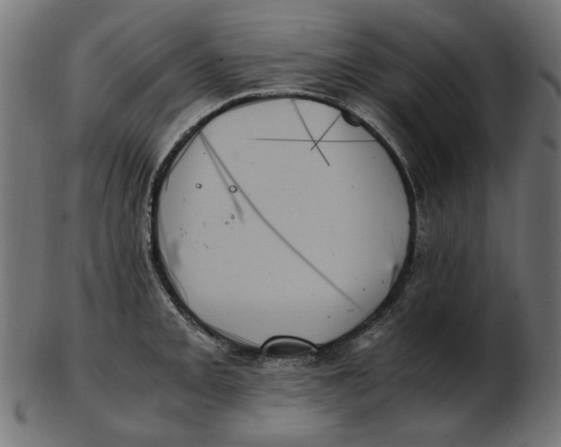 X0000103131093200809121726