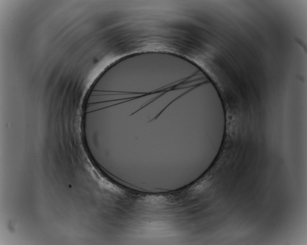 X0000103131094200809121726