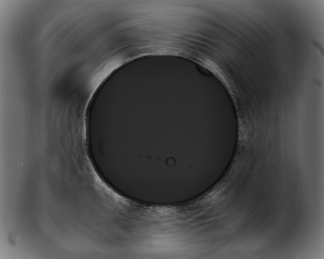 X0000103131095200809121726