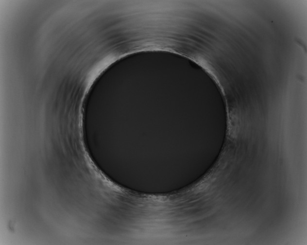 X0000103131096200809121726