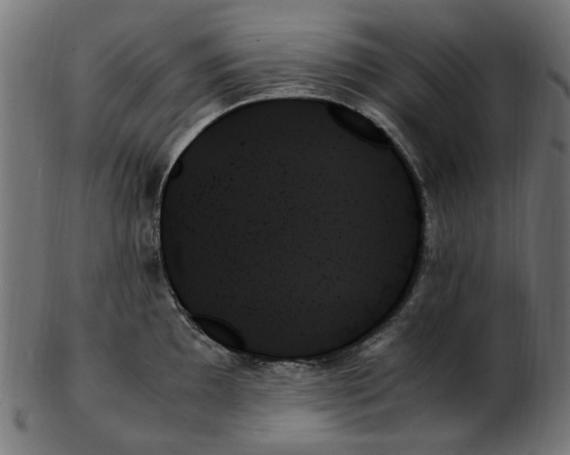 X0000103131097200809121726