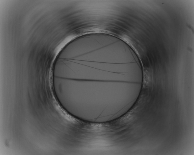 X0000103131098200809121726