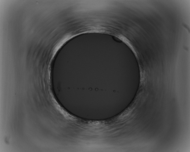 X0000103131099200809121726