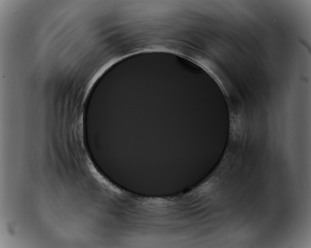 X0000103131100200809121726