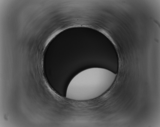 X0000103131101200809121726