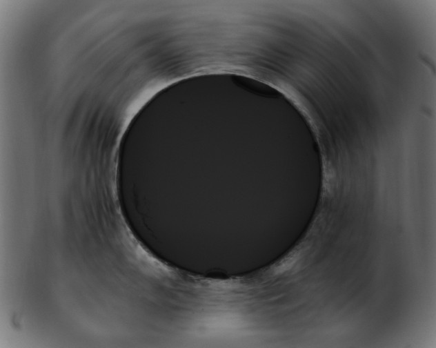 X0000103131102200809121726
