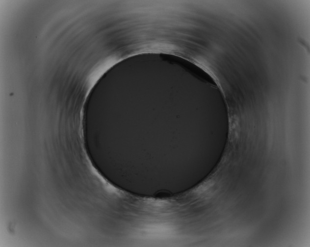 X0000103131103200809121726