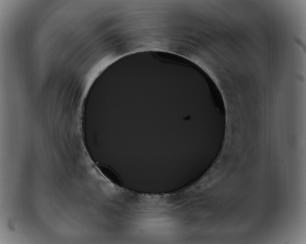 X0000103131104200809121726