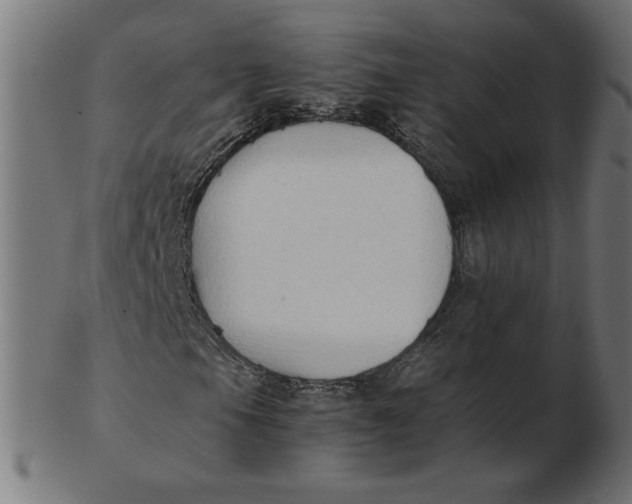 X0000103131105200809121725