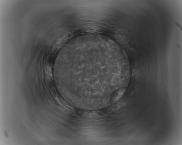 X0000103131106200809121725