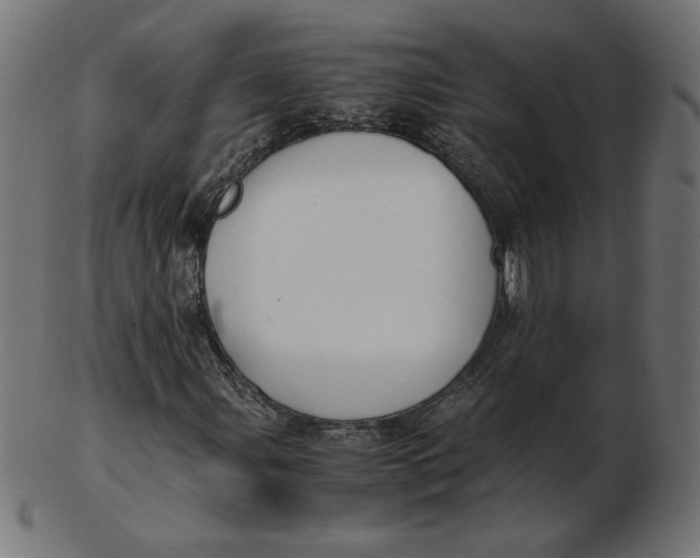 X0000103131107200809121725