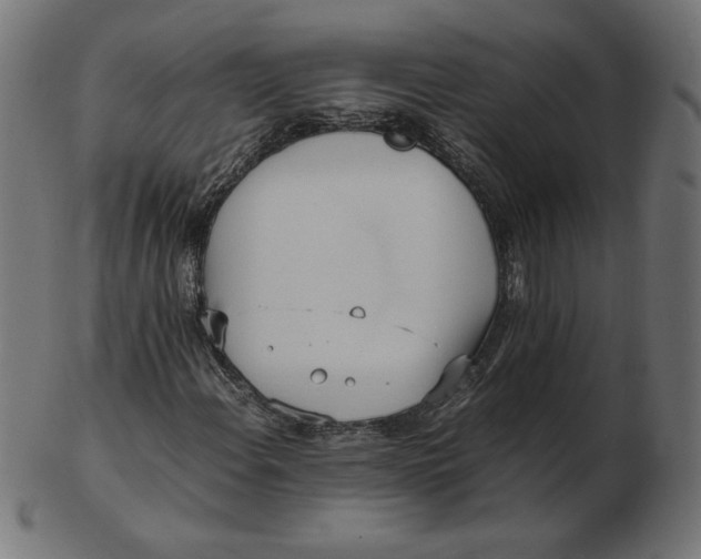 X0000103131108200809121725