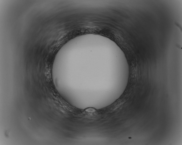 X0000103131109200809121725