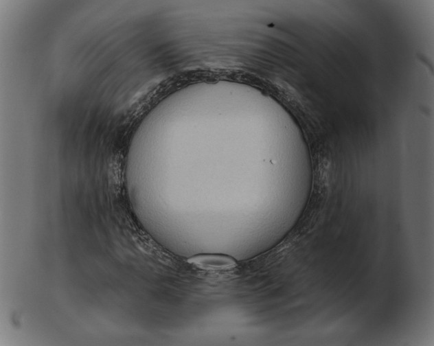 X0000103131110200809121725