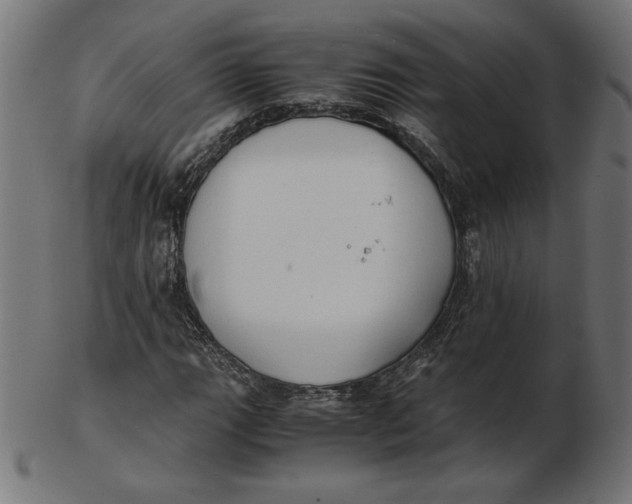 X0000103131111200809121725