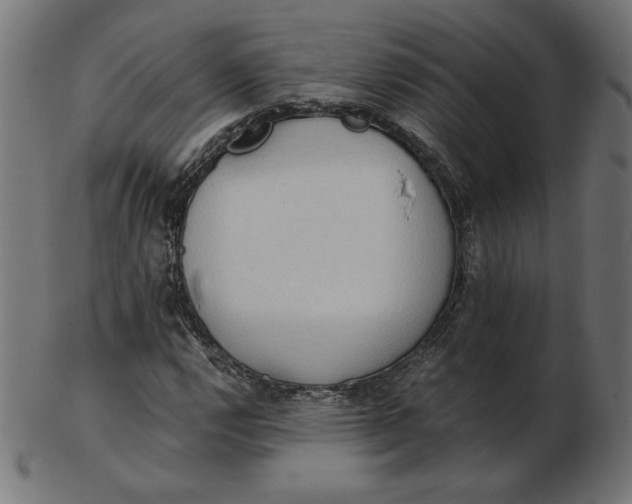 X0000103131112200809121725