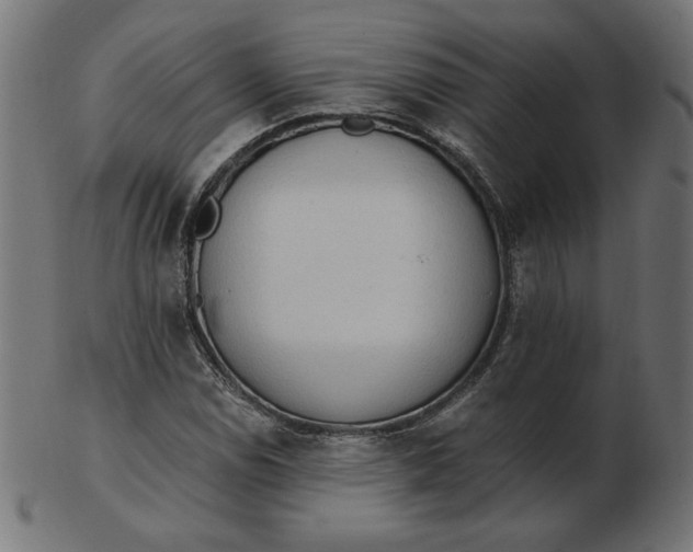 X0000103131114200809121725