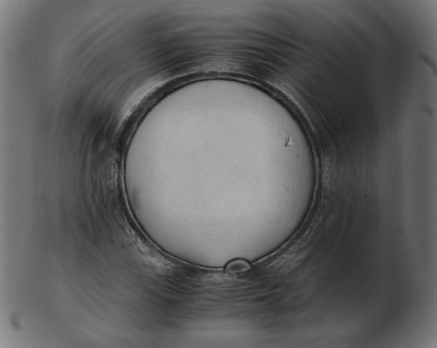 X0000103131115200809121725