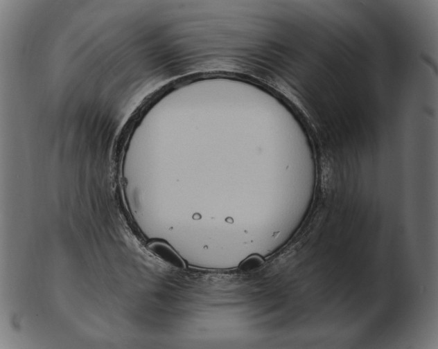 X0000103131116200809121725