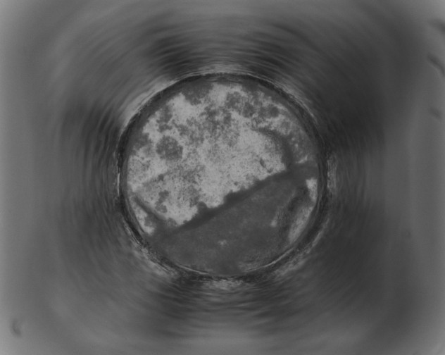 X0000103131117200809121725