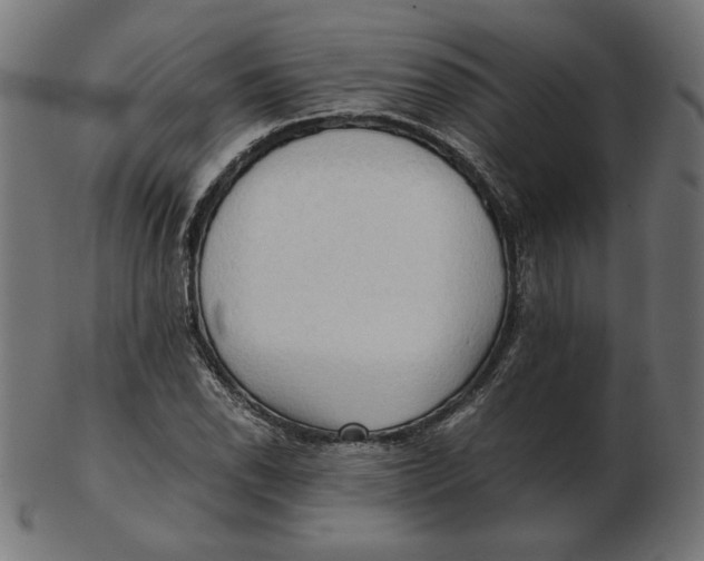 X0000103131118200809121725