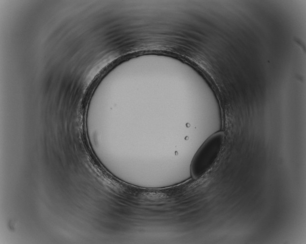 X0000103131119200809121725