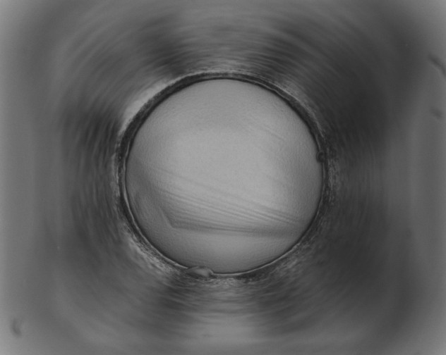 X0000103131120200809121725
