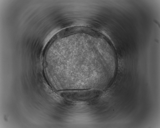 X0000103131124200809121725