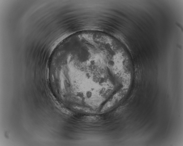 X0000103131125200809121725