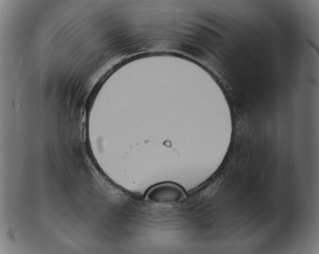 X0000103131126200809121725