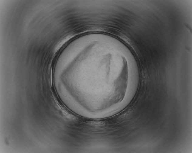 X0000103131127200809121725