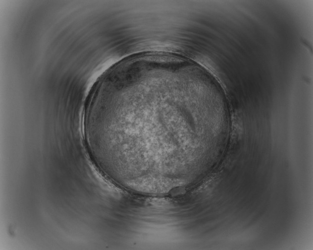 X0000103131128200809121726