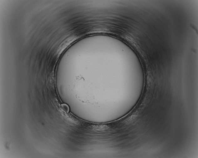 X0000103131129200809121726
