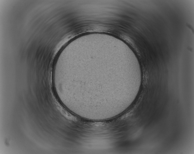 X0000103131130200809121726