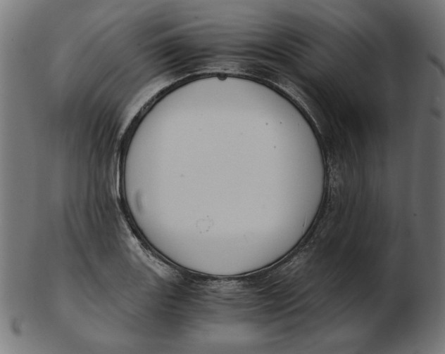 X0000103131131200809121726