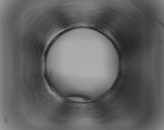 X0000103131132200809121726