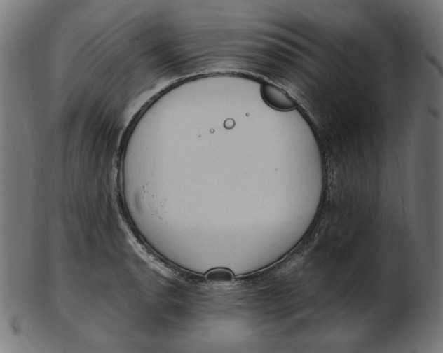 X0000103131134200809121726