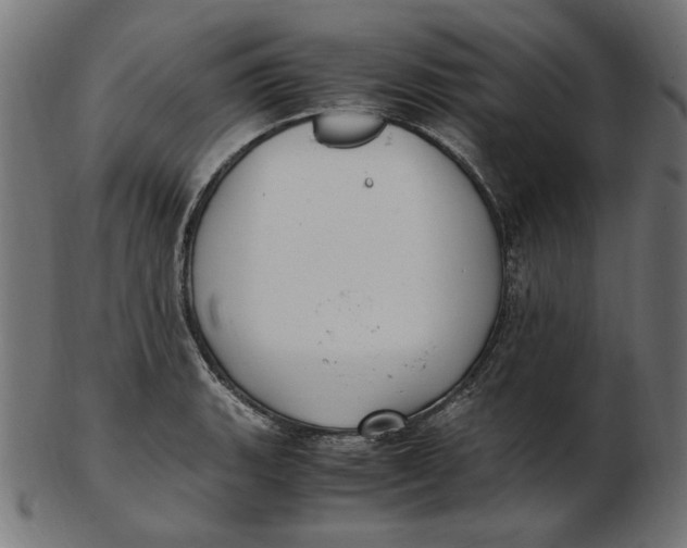 X0000103131135200809121726
