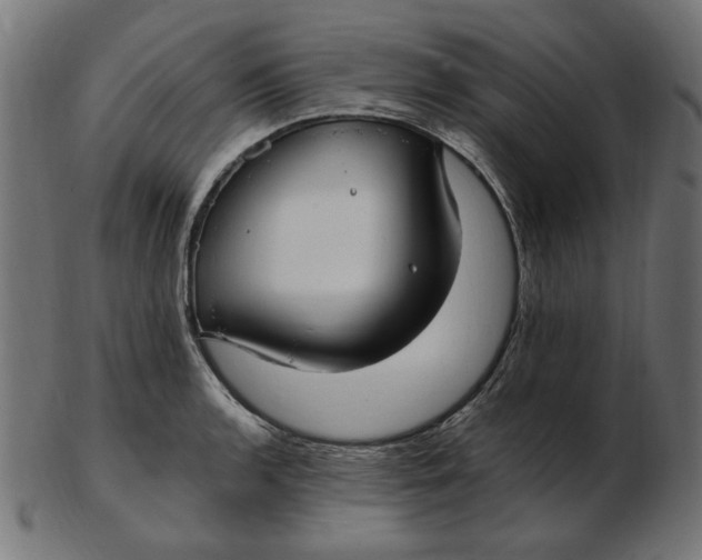 X0000103131136200809121726