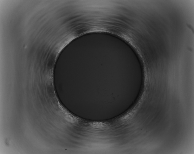 X0000103131137200809121726