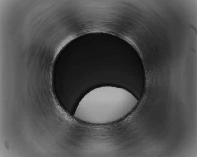 X0000103131138200809121726
