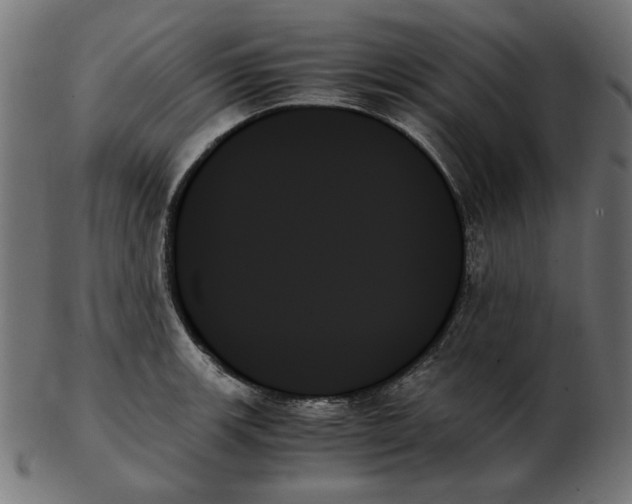 X0000103131139200809121726