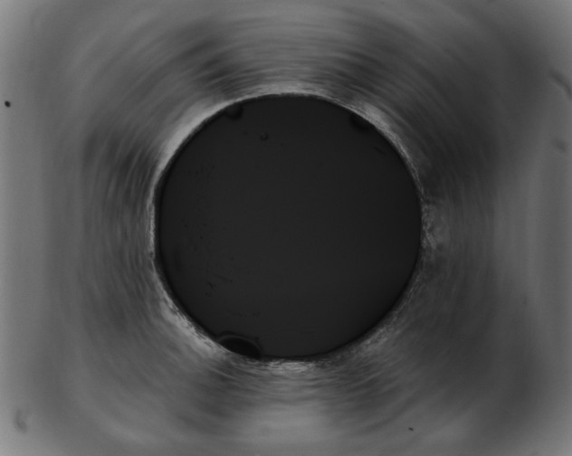 X0000103131140200809121726