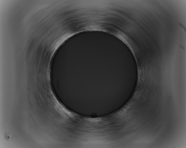 X0000103131141200809121726