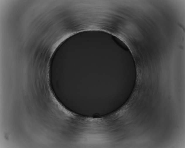 X0000103131142200809121726