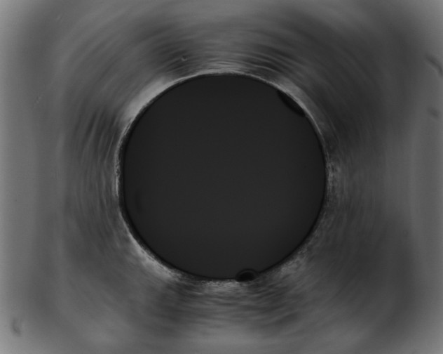 X0000103131143200809121726