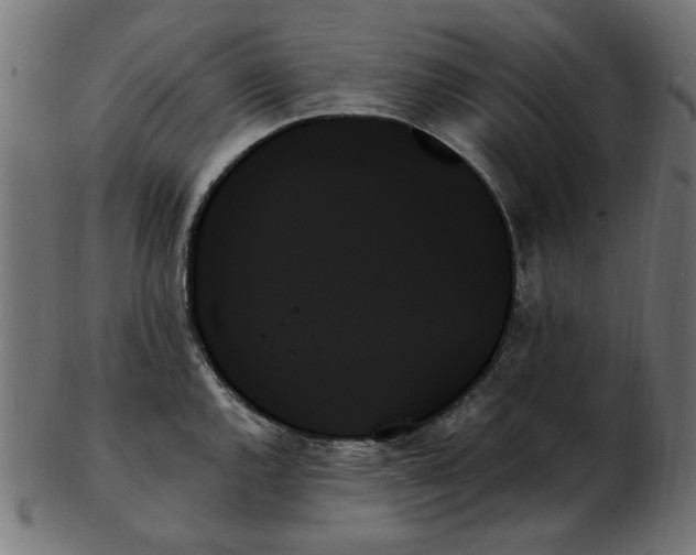 X0000103131144200809121726