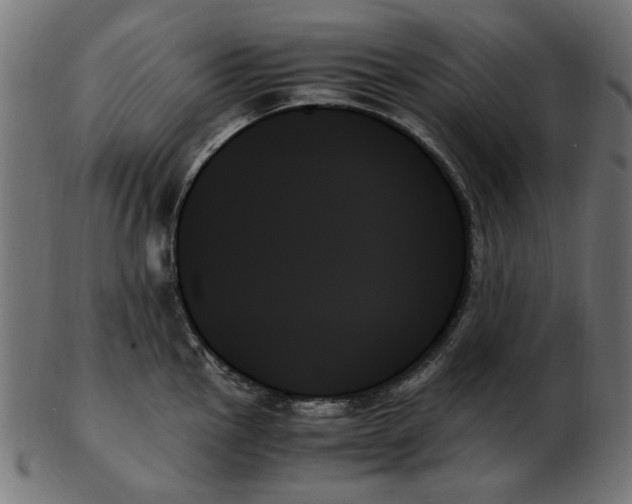 X0000103131145200809121726