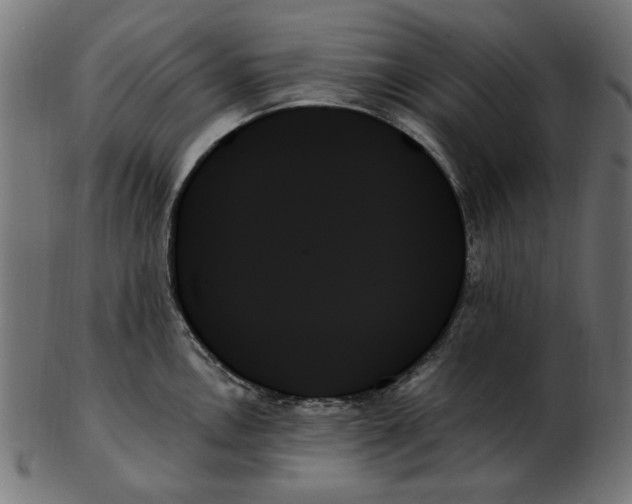 X0000103131146200809121726
